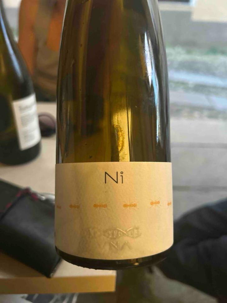 N.1 - VNA - Fiori Uberto, Alessandro e Federico -2017