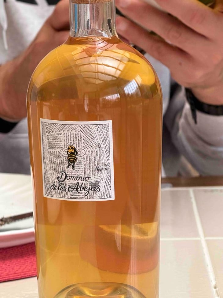 Naranja - Dominio De Las Abejas - Mauricio Ruiz Cantú & Ricardo Michel 