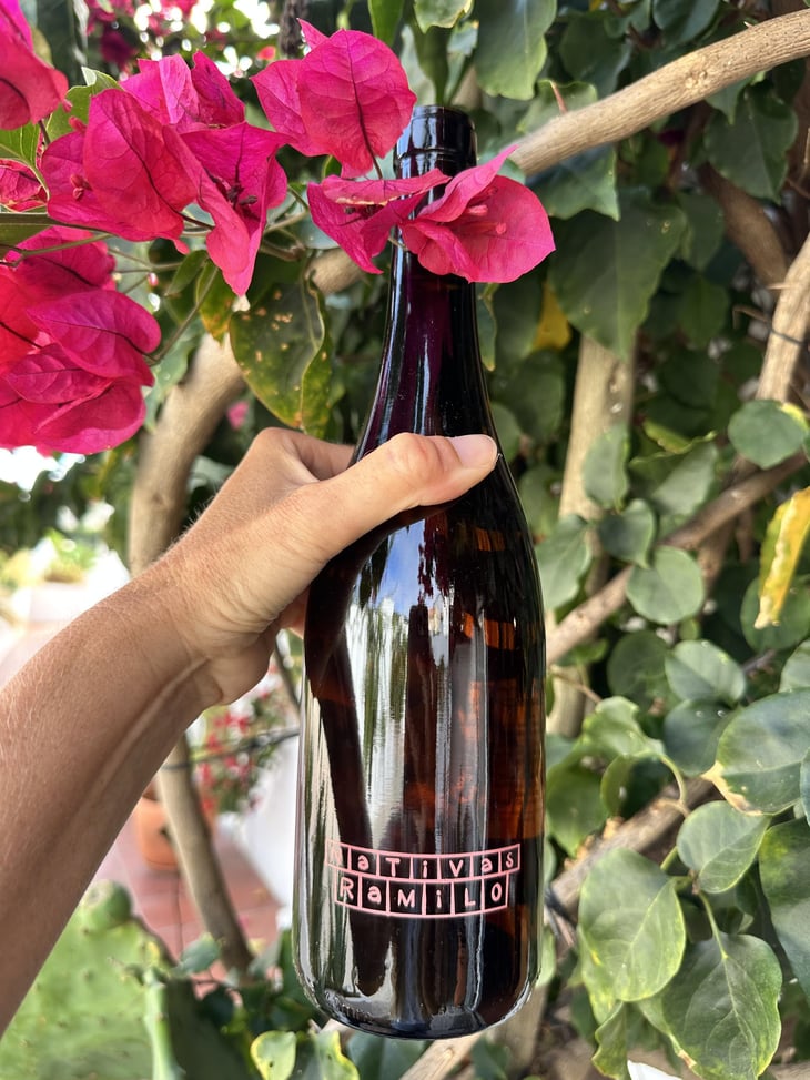 Nativas Rosé - Ramilo Wines - Nuno and Pedro Ramilo -2025