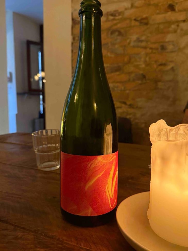 Nébuleuse Gamay X Julien Altaber - Sextant - Vin des Potes - Basile Passe 