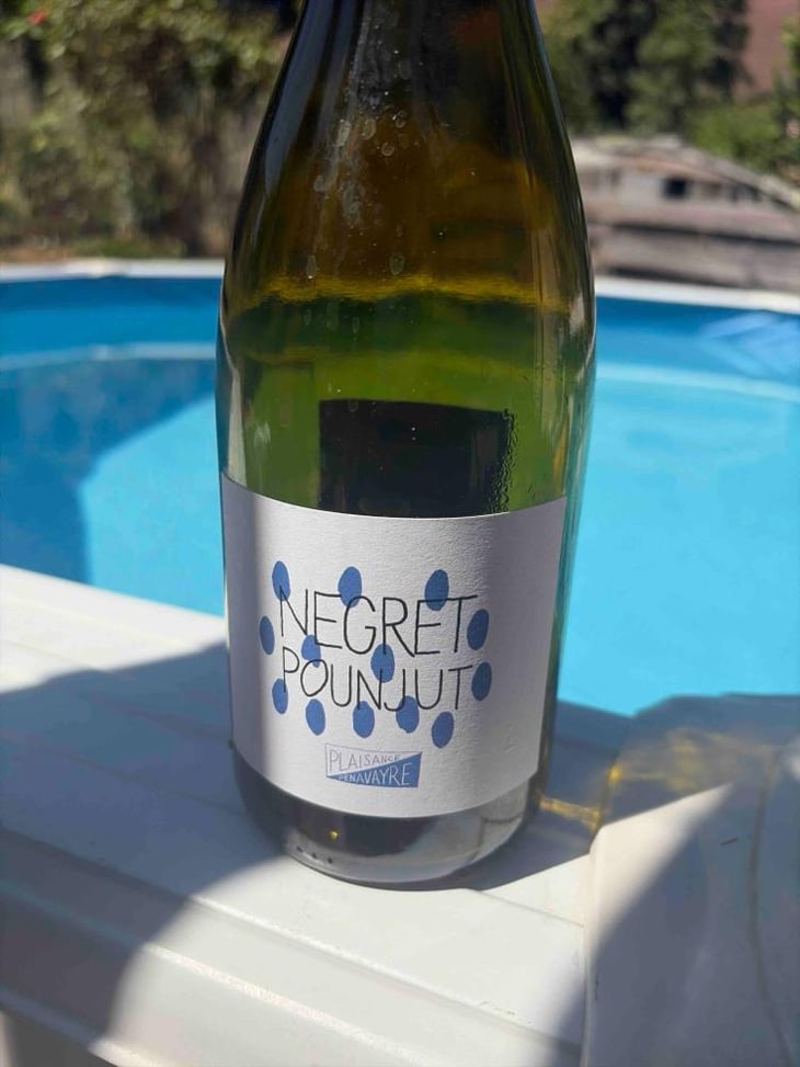 Negret Pounjut - Domaine Plaisance - Penavayre - Louis, Marc et Thibaut Penavayre 