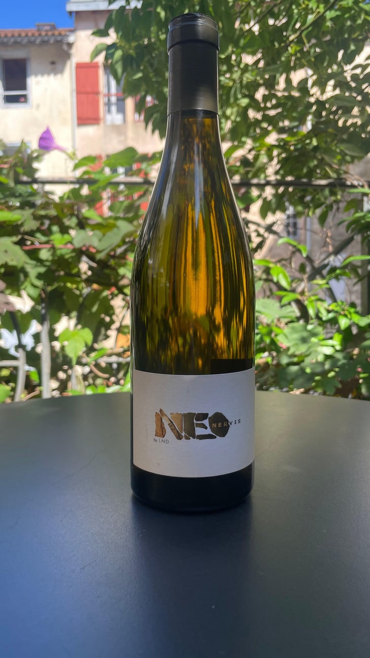 Neo Nervis - La Nouvelle Don(n)e - Wilfried Valat 