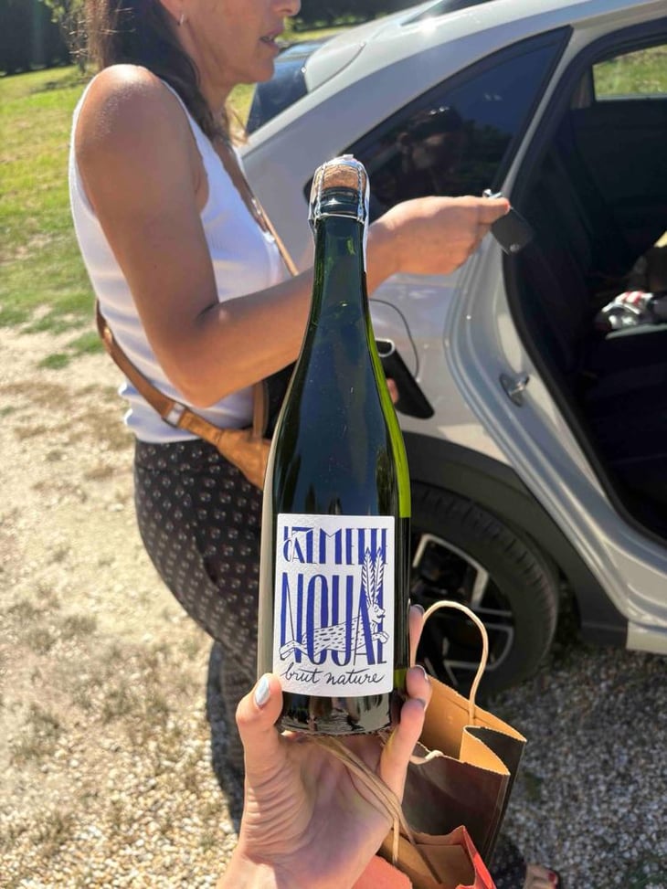 Noual pet nat brut nature - Domaine de la Calmette - Maya Sallée & Nicolas Fernandez 
