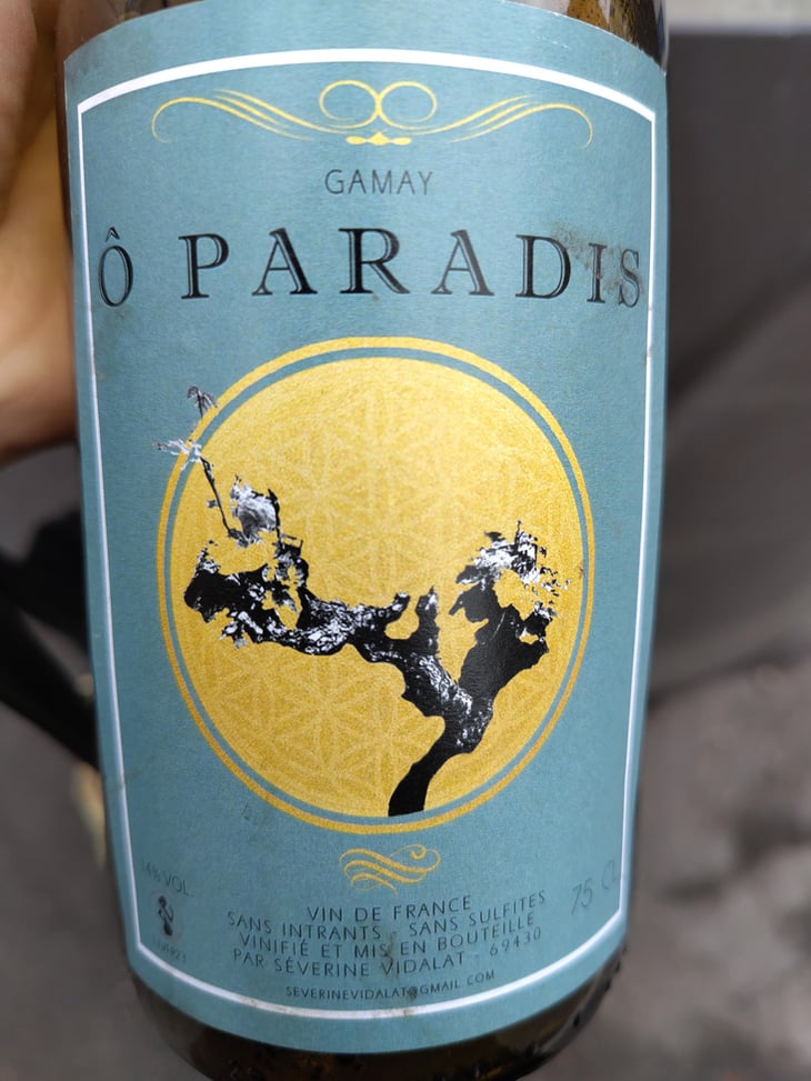 O paradis - Severine vidalat - Séverine vidalat -2024
