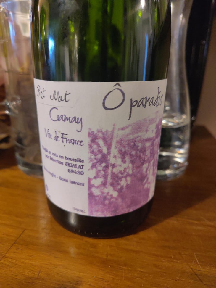 o paradis - Séverine Vidalat - Séverine vidalat -2025