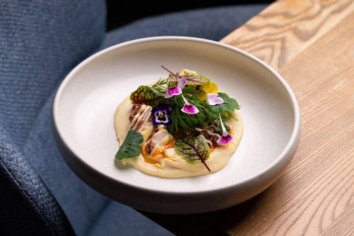 Octopus - Mucca Steak&Wine - 1370675