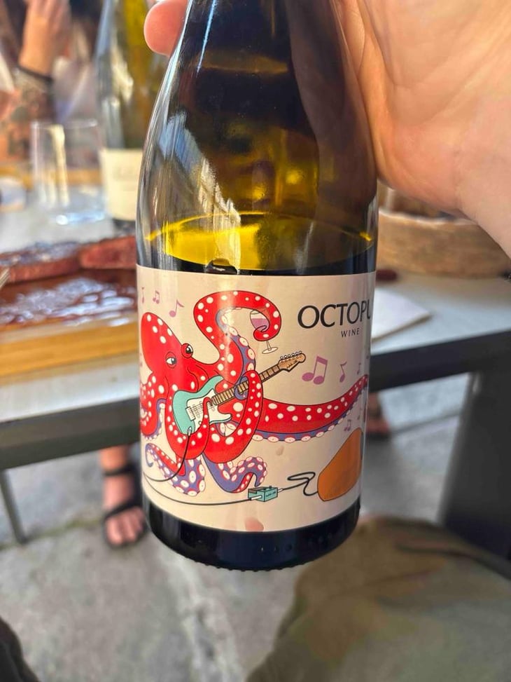 Octopus Red - Constantina Sotelo Micro Bodega - Constantino Sotelo 