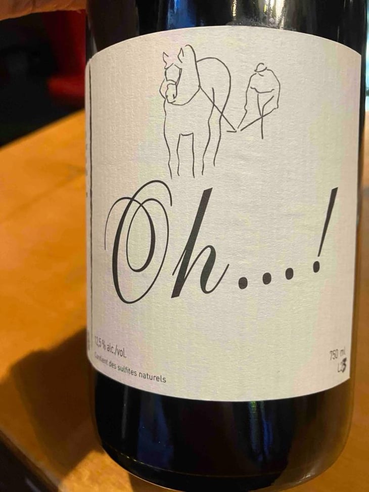 Oh...! - Michel Guignier - Michel Guignier 