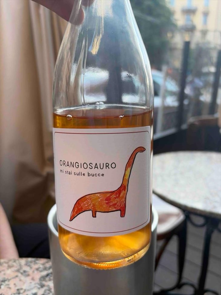 Orangiosauro - Castello di Stefanago - Antonio & Giacomo Baruffaldi -2019