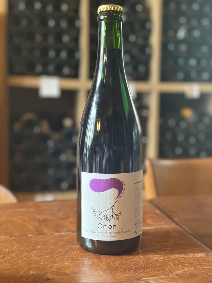 Orion - Le Petit Domaine d'Echiat - Serge Gayet -2024