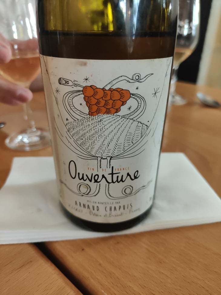 Ouverture - Aligoté Macération - Domaine Arnaud Chapuis - Arnaud Chapuis 