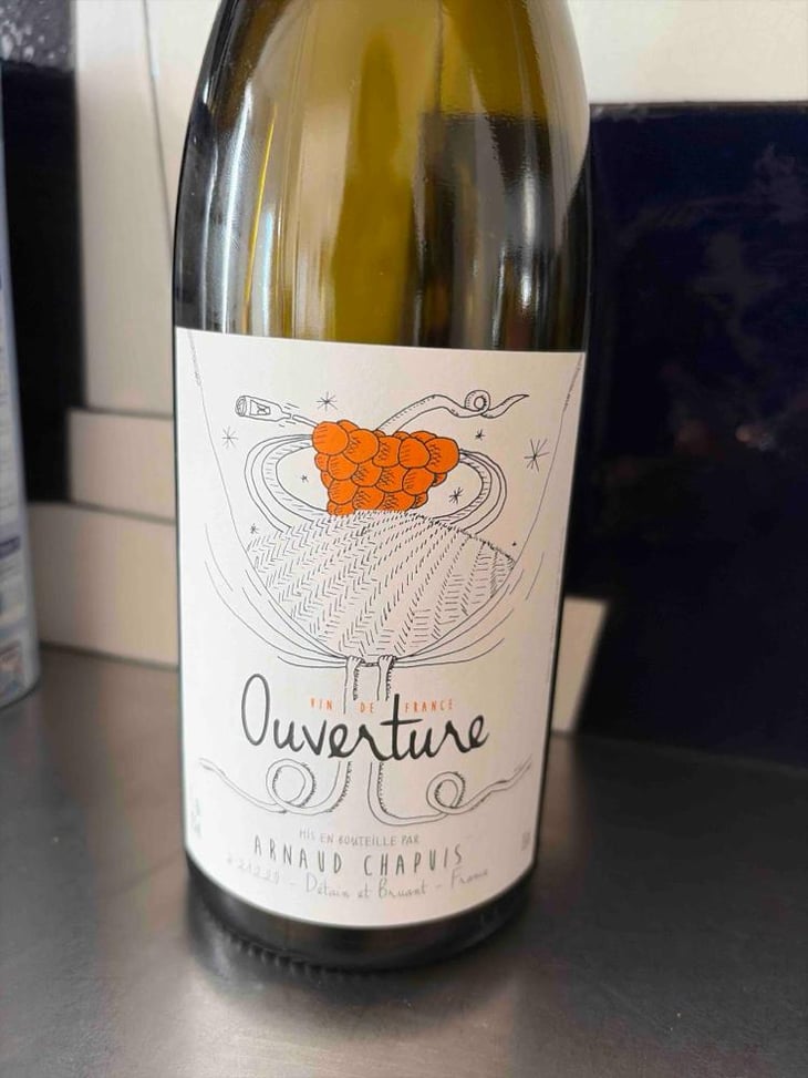 Ouverture - Aligoté Macération - Domaine Arnaud Chapuis - Arnaud Chapuis 
