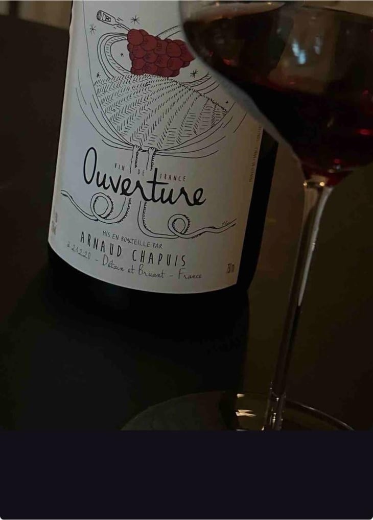 Ouverture - Pinot Noir - Domaine Arnaud Chapuis - Arnaud Chapuis 