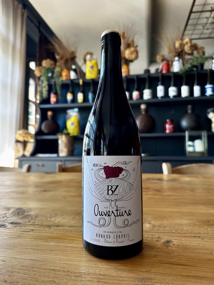 Ouverture - Pinot Noir - Domaine Arnaud Chapuis - Arnaud Chapuis 