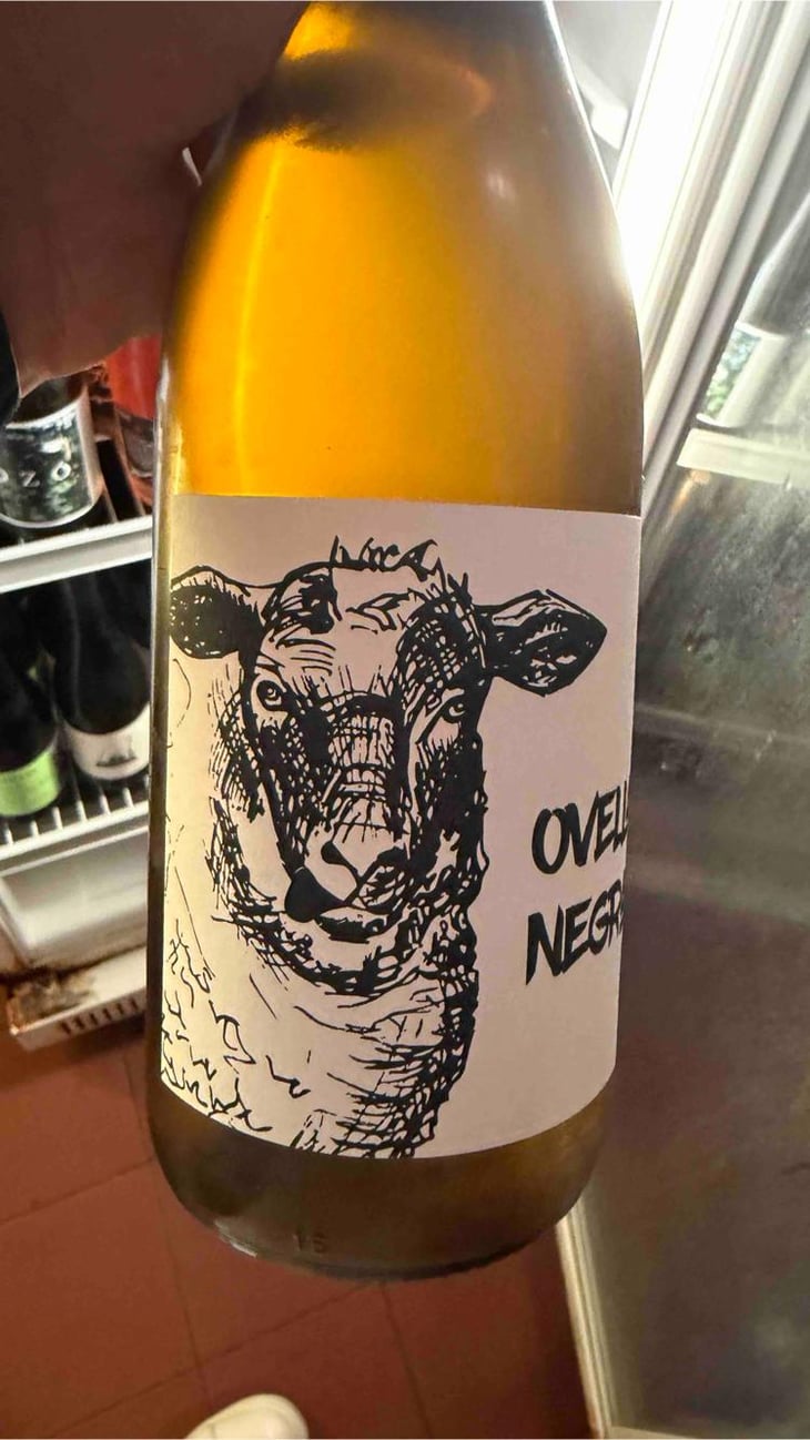 Ovella Negra - Mas Candí - Ramón Jané, Mercé Cuscó, Toni Carbó, Ramón Galimany 