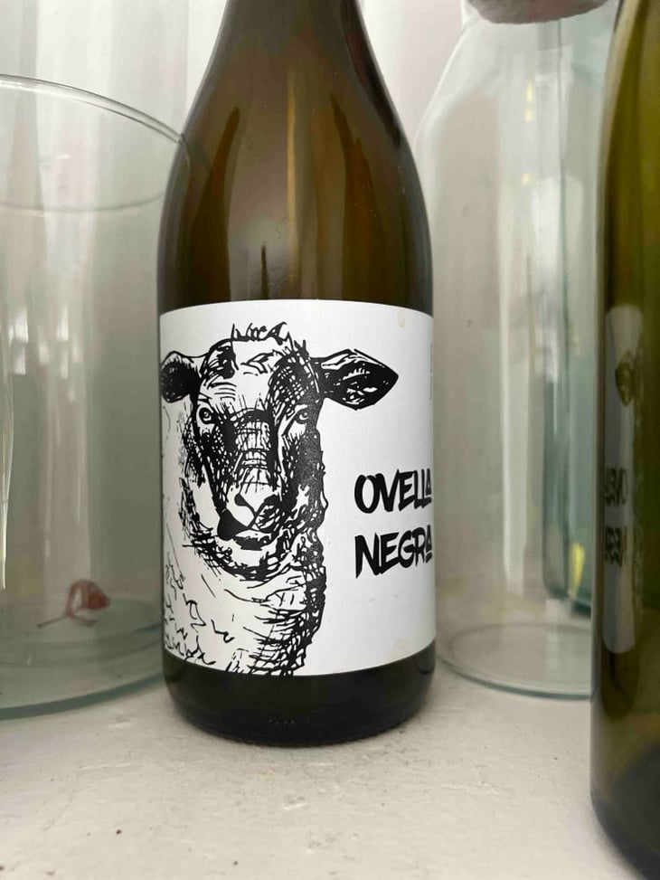 Ovella Negra - Ramon Jané Viticultor - Ramón Jané 