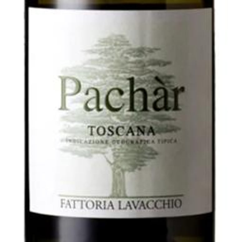 Pachàr - Fattoria Lavacchio Biowinery - Faye Lottero 