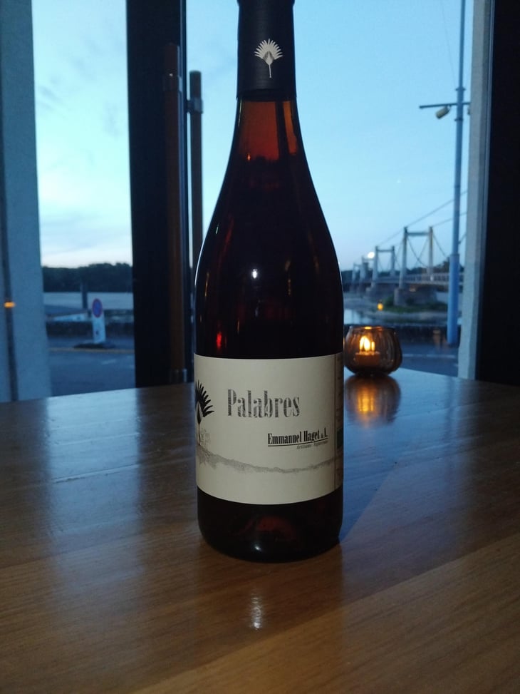 Palabres - Emmanuel Haget - Emmanuel Haget 