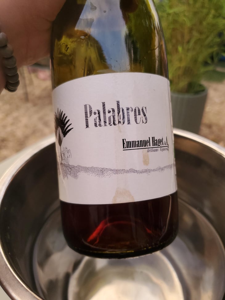 Palabres - Emmanuel Haget - Emmanuel Haget 
