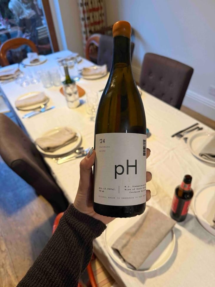 PALOMINO - VINO PH - Pauline Roux & Paul Jordaan 