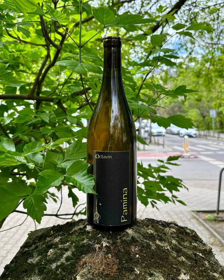 Pamína - Domaine de l'Octavin - Alice Bouvot 