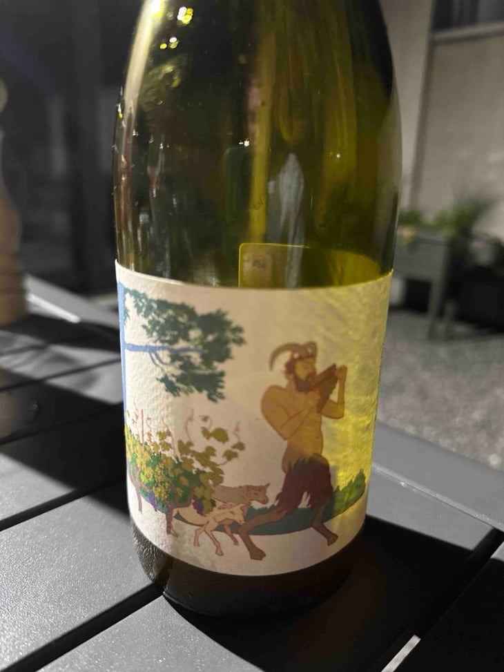 Pan - Vin Des Potes - Peter & Sandra Fischer 