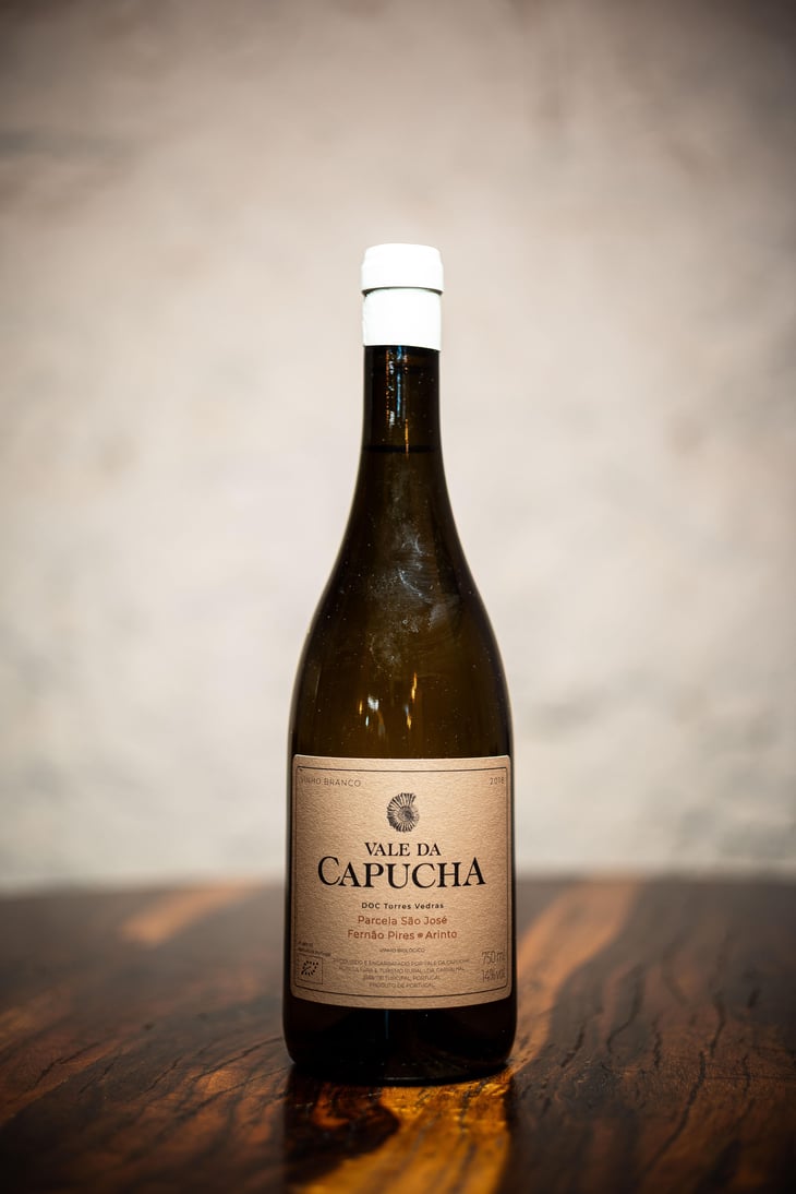 Parcela São José - Vale da Capucha - Pedro Marques 