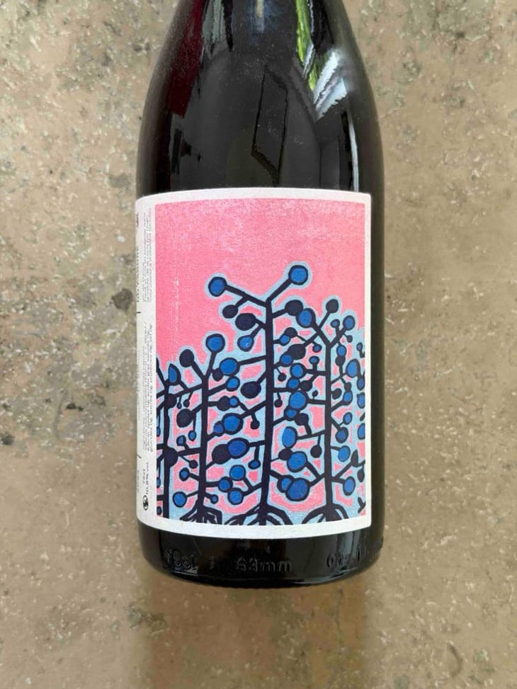 Paresia - Le vignoble du Pagure - Hugo Courvoisier -2024