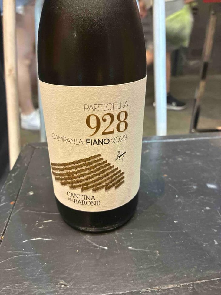 Particella 928 - Cantina del Barone - Luigi Sarno -2021