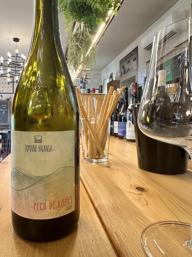 Pech De Rozies - Domaine Balansa - Céline Peyre & Alex Gressent 