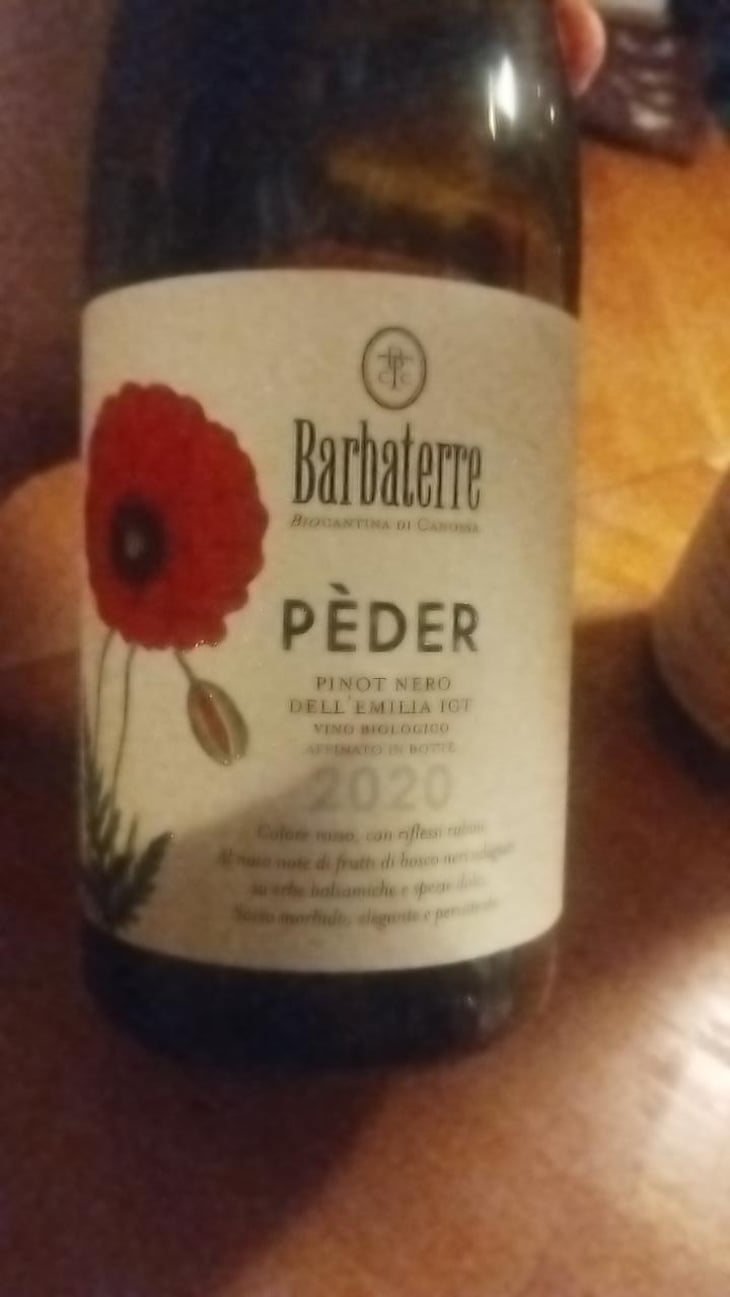 Peder - Barbaterre - Barbaterre -2020