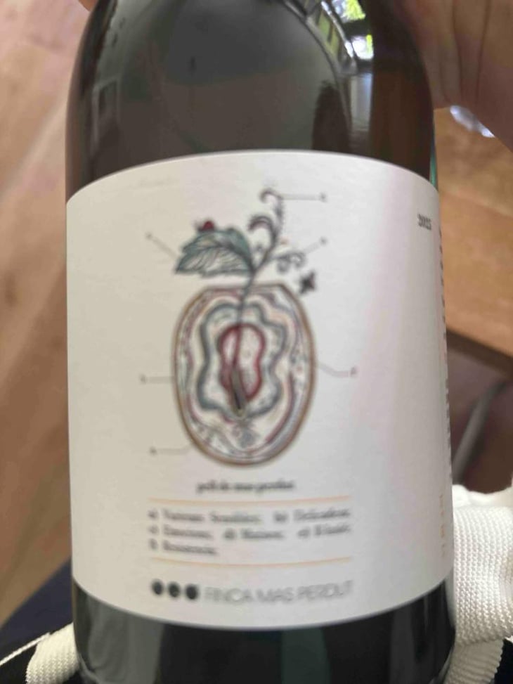 Pell De Mas Perdut - Finca Mas Perdut - Josep i Rebeca 