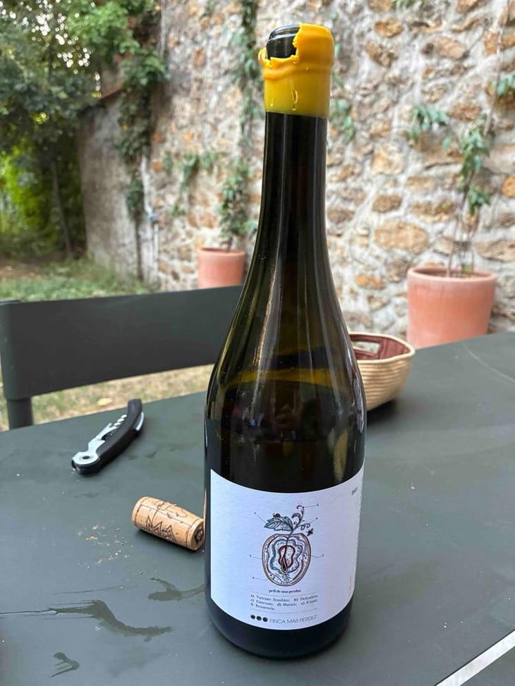 Pell De Mas Perdut - Finca Mas Perdut - Josep i Rebeca 