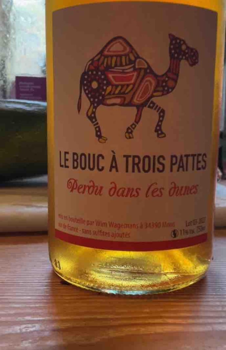 Perdu Dans Les Dunes - Le Bouc à Trois Pattes - Wim Wagemans 