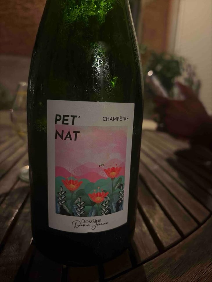 Pet’ Nat Champêtre - Domaine Dame Jeanne - Jeanne Piollot -2023
