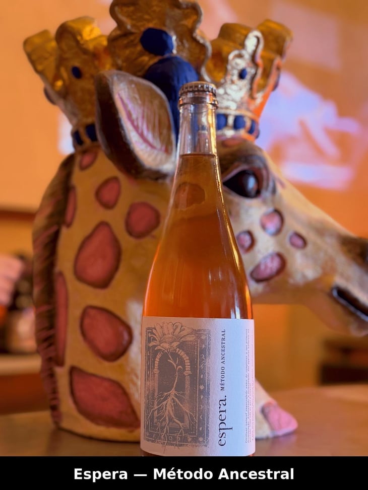 Pet Nat Rosé - Espera Wines - Rodrigo Martins -2020
