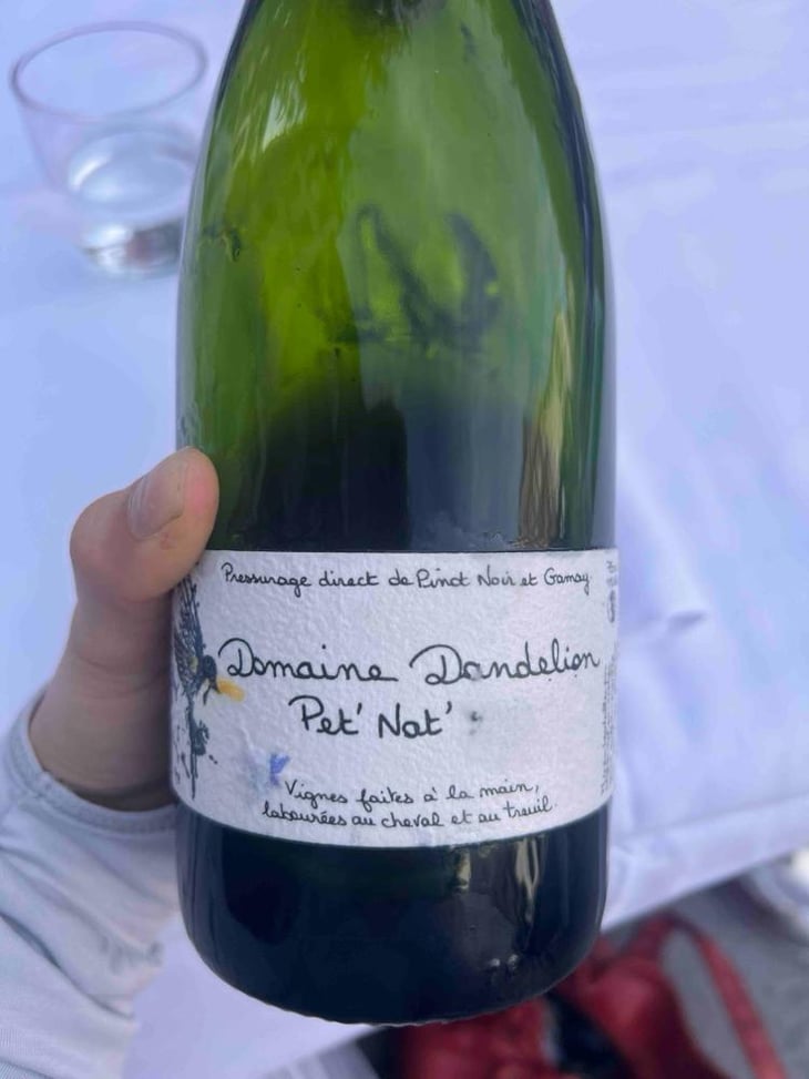 Pet nat - Domaine Dandelion - Morgane Seuillot & Christian Knott -2022