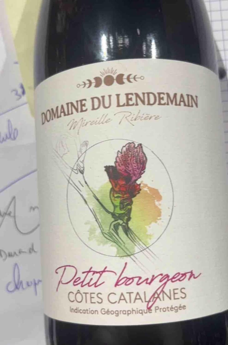 Petit Bourgeon - Domaine du Lendemain - Mireille Ribière 