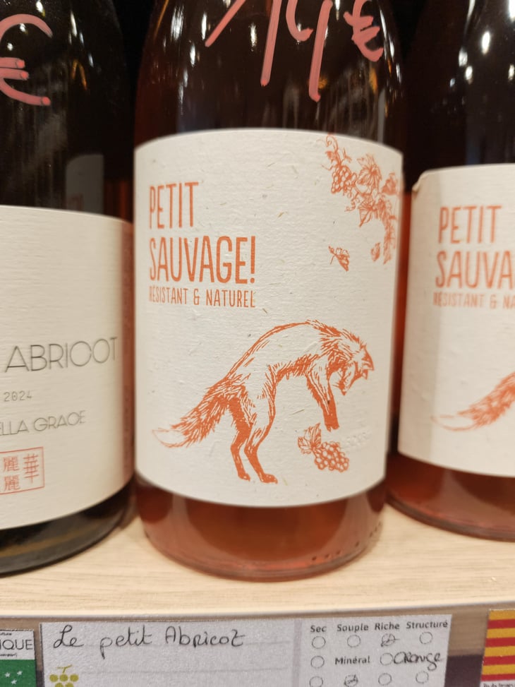 Petit Sauvage! Orange - Pierre & Antonin - Pierre Caizergues & Antonin Bonnet 