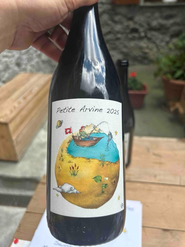 Petite Arvine - Domaine des Petites Planètes - Guillaume Bodin -2023