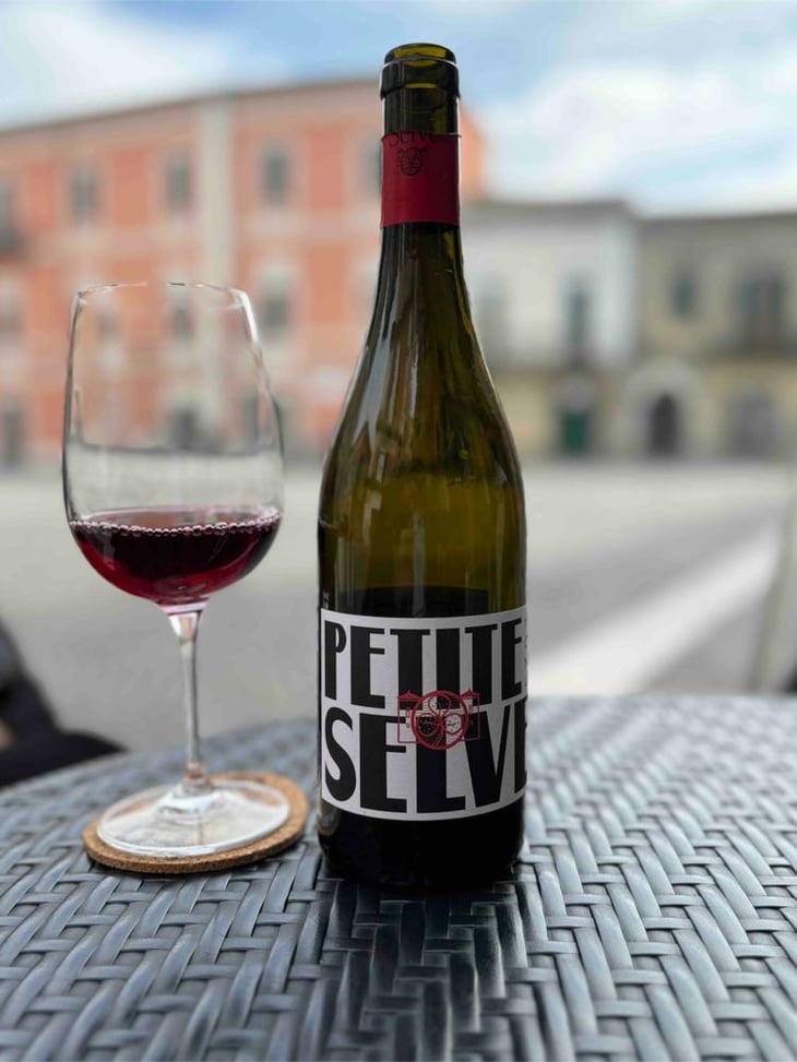 Petite Selve Rouge - Château de la Selve - Florence & Benoît Chazallon 