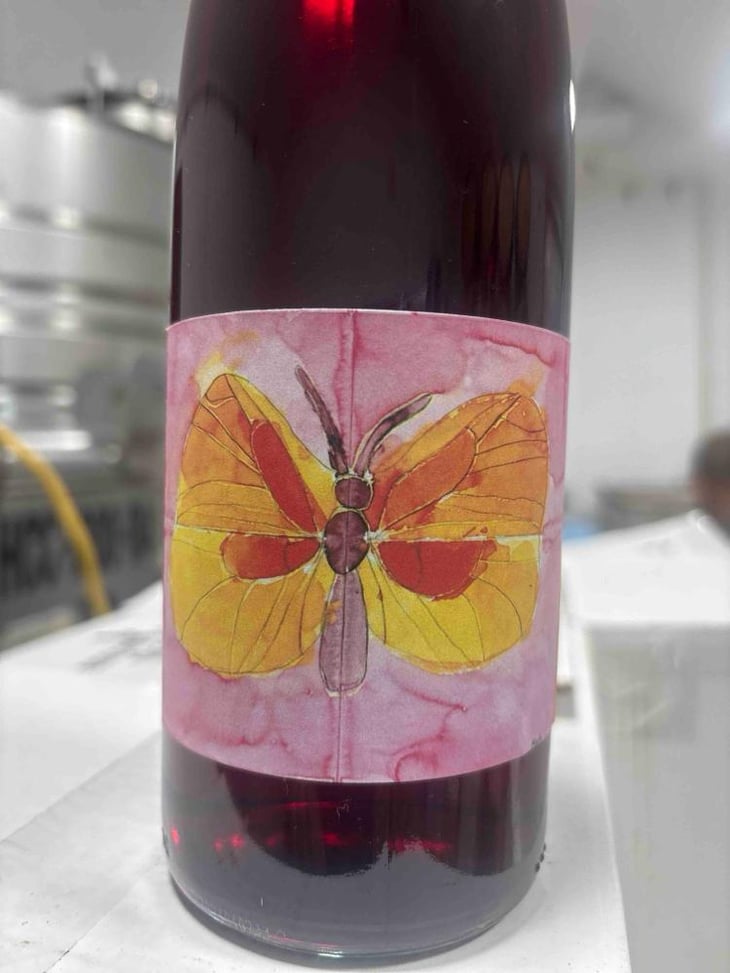 Petite Sirah - Powicana Farm - Zoubeida & Rémi Zajac 