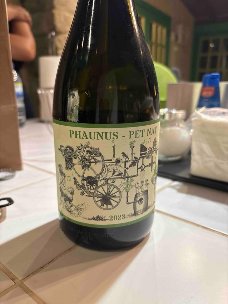 Phanus - Pet Nat Branco - Aphros Wine, Lda - Vasco Croft, Tiago Sampaio & Miguel Viseu -2023