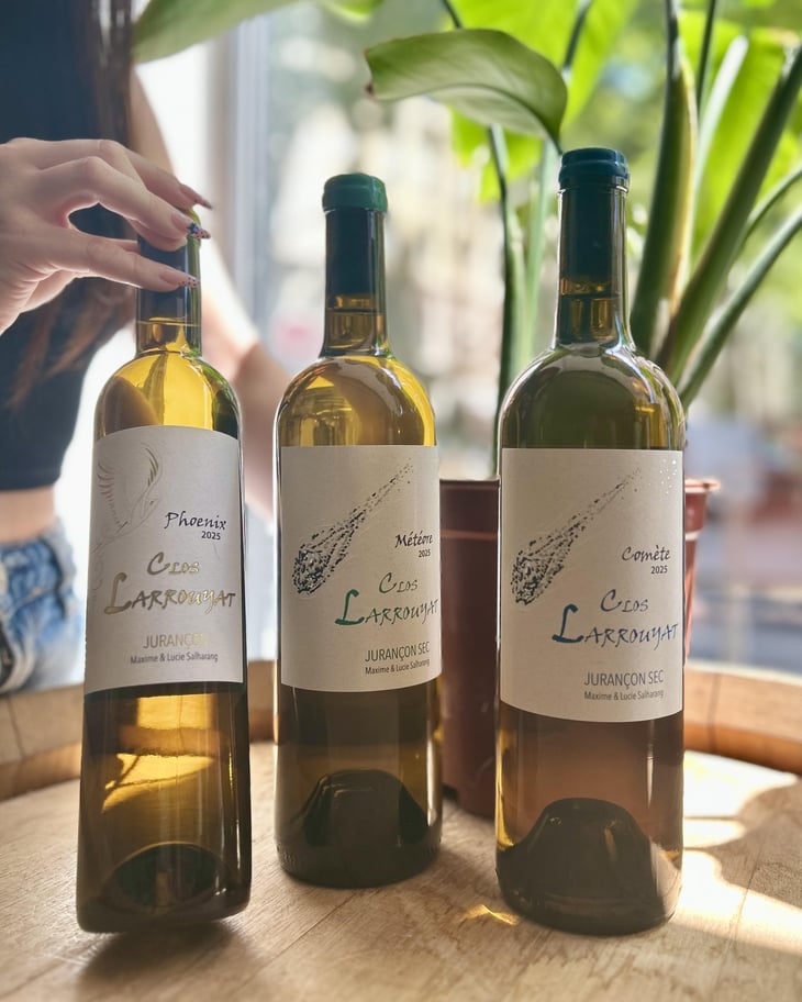 Phoenix - Clos Larrouyat - Maxime & Lucie Salharang 