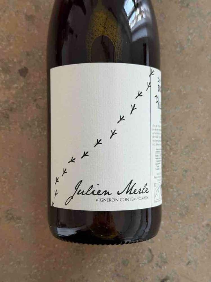 Phoenix - Julien Merle - Julien Merle -2025