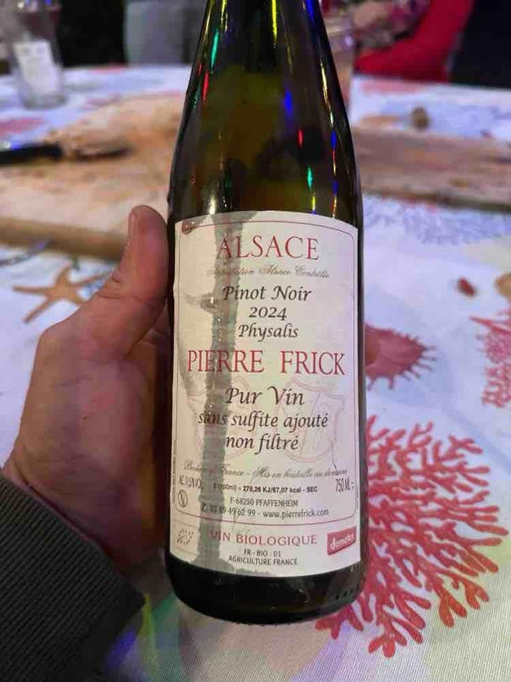Physalis Pinot Noir - Domaine Pierre Frick - Jean-Pierre, Chantal et Thomas Frick 