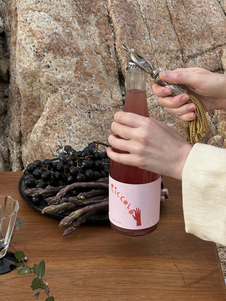 Piccolo Piquette Rose - Matic Wines - Matija Žerjav -2025