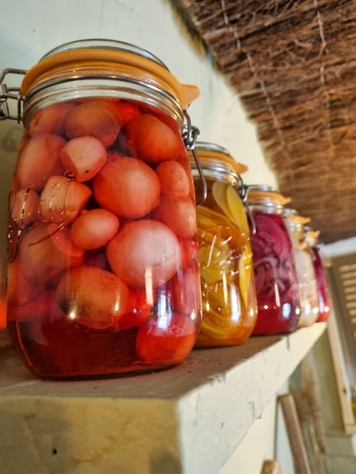 Pickles Maison - PEPE COCO - 1361077