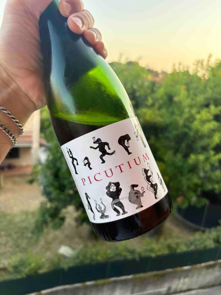 PICUTIUM - Domaine Jeremy Bricka - Vins Naturels D'Alp'titude - Jeremy Bricka -2024