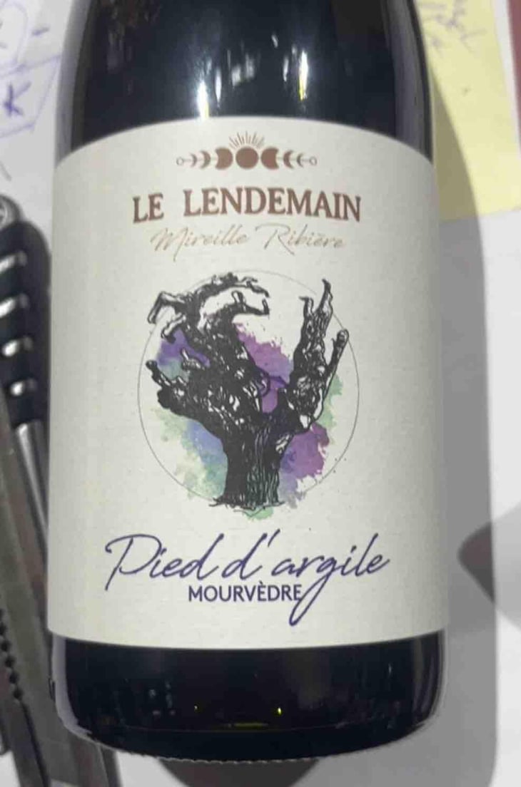 Pied d'Argile - Domaine du Lendemain - Mireille Ribière 